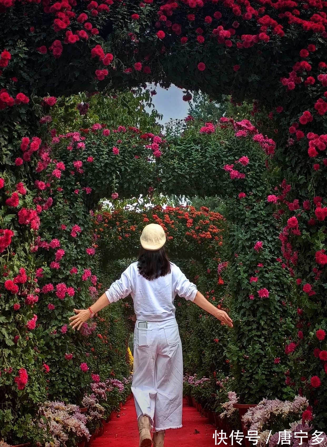 悯农二首#阅读诗歌可以养身心