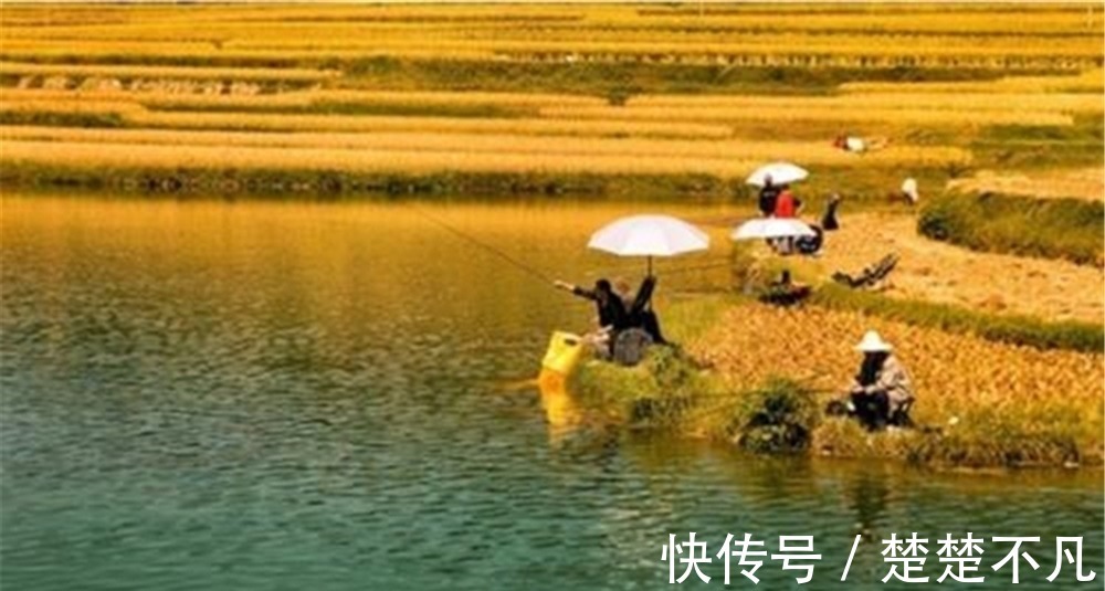 秋季钓鱼,有钓渊、钓阴、钓边几种说法,这钓位到底应该怎么选?