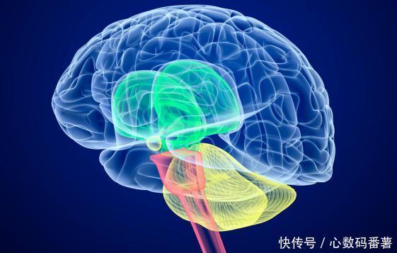  血管|血管堵塞，脚先知！医生：脚上3种“感觉”，当心血栓已“扎根”
