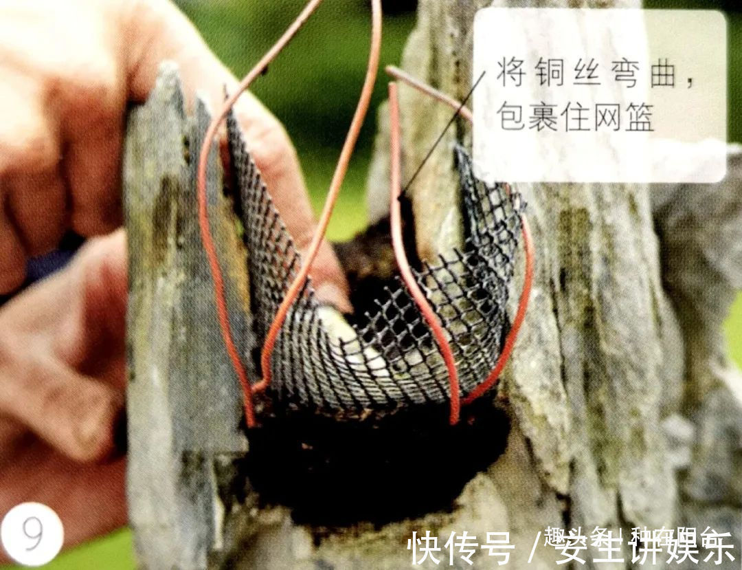 山水盆景不是非“水”不可，看山石与树木如何演绎一道山水盆景！