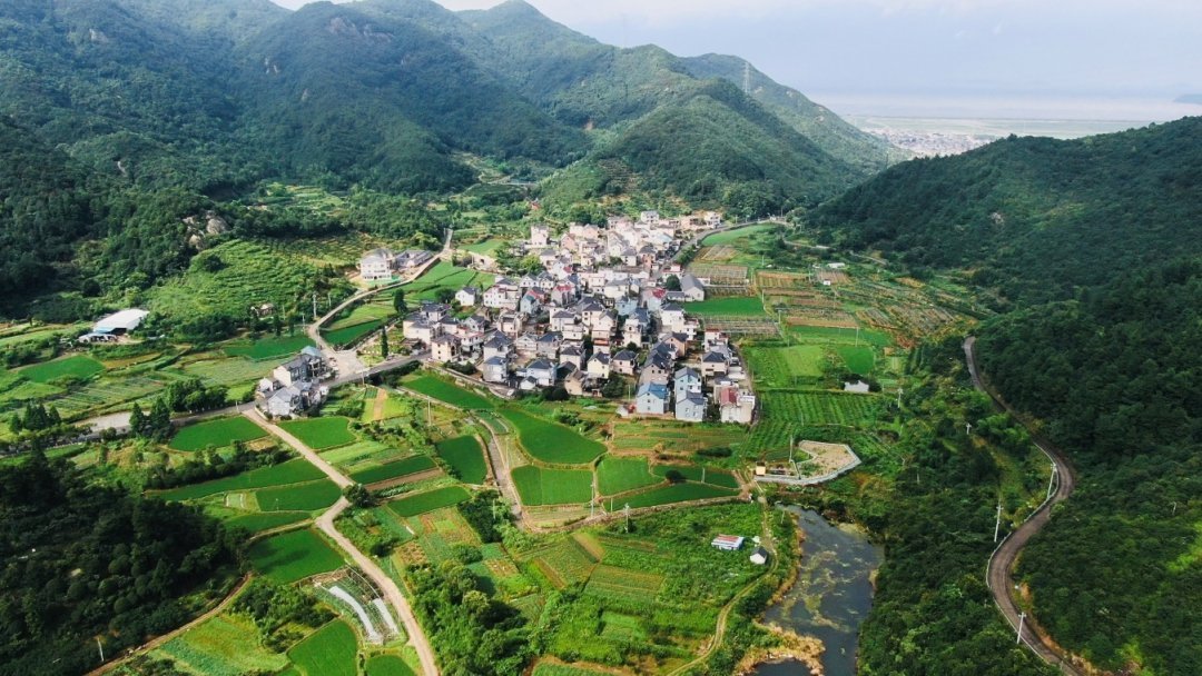 旅游|象山东陈乡入围宁波市乡村全域旅游示范区培育单位