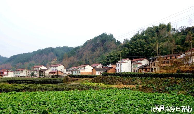 中年|野游牟家坝