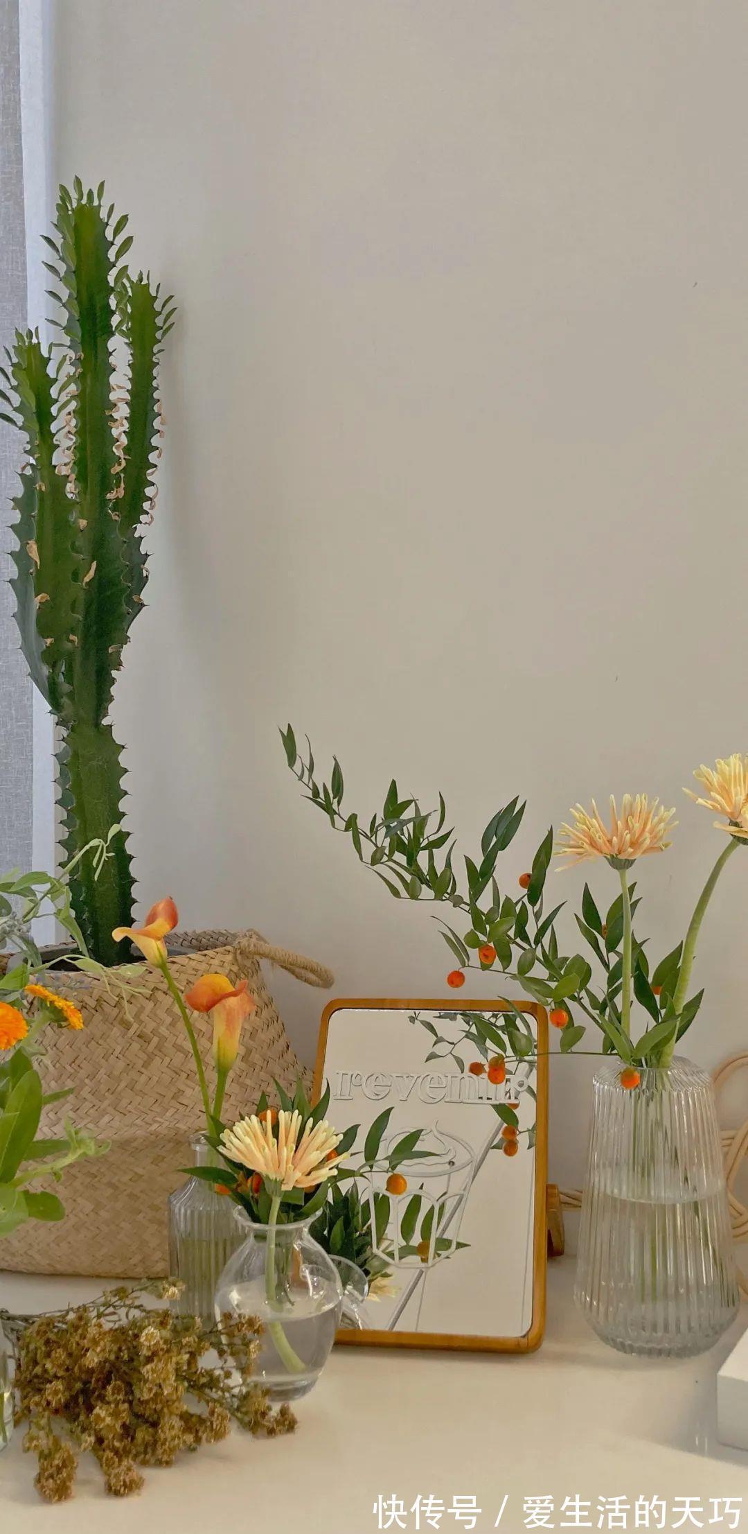 花解语|2172手机壁纸|温柔扑了个空才长记性