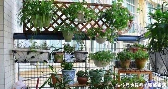 头一次见阳台上面还能这样养花,几平米空间变花园,太聪明了