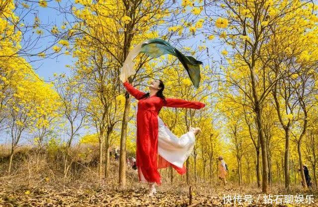 三月|花样荷城,美不胜收!