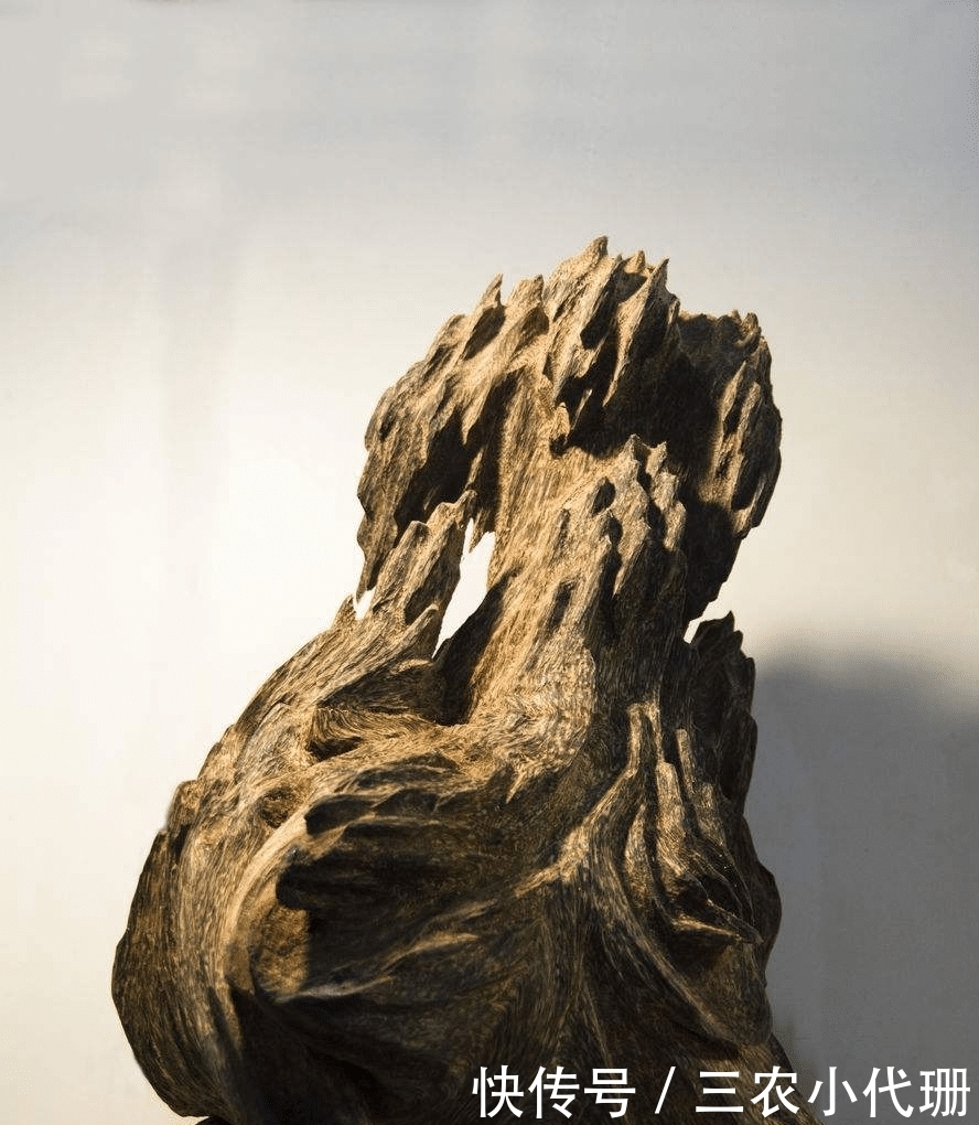 废柴|一种听说过得人多,以前被当废柴烧火的东西,现在价格早已突破天际