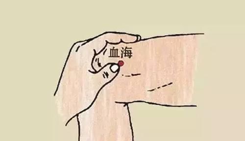 脾经|脾,后天之本!老中医带你品味人体脾经大药!补脾通络,胜吃补药