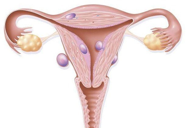 女人|月经刚完,坚持“2不做和2做”,子宫可能会非常“感谢”你