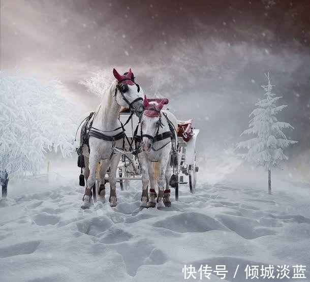 五斗米&多少人生活不如意,都在岑参一句唐诗“只缘五斗米,辜负一渔竿”