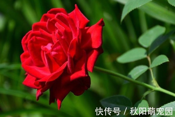 无福|俗话说：有福之人不用忙，无福之人跑断肠，福旺之人有4大征兆！