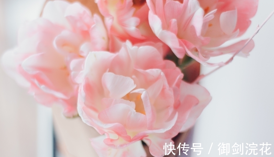 甜蜜蜜|11月，“大金蛇”立刻翻身，左右逢源甜蜜蜜，幸福生活钞票多