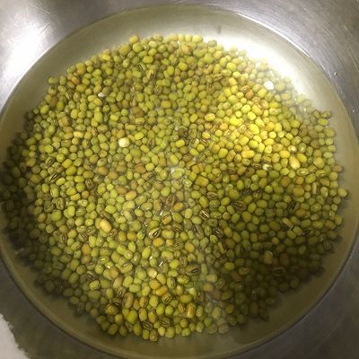 豆芽粉|绿豆芽成长记