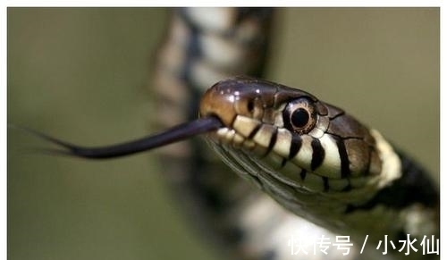 余生|8天后,一花一世界,一生只为一人,旧爱回眸,余生繁花似锦