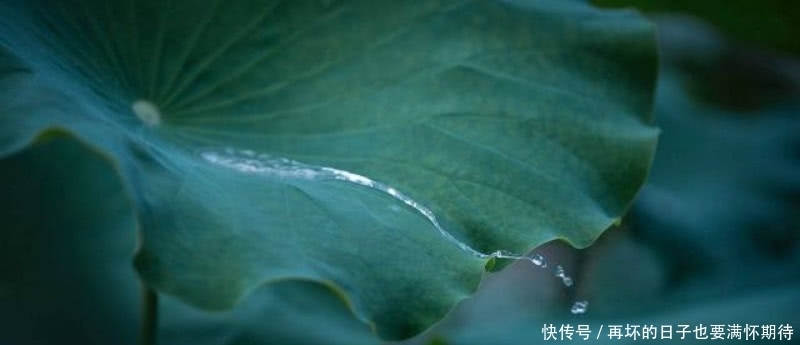 难怪卢照邻不服王勃,读他这首诗就知道,他的才华完全不输于王勃