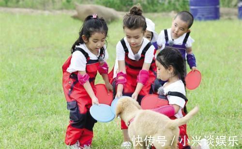 小手牵小狗|拯救无聊期:那些冷门,却意外很好看的综艺节目,你知道几个?