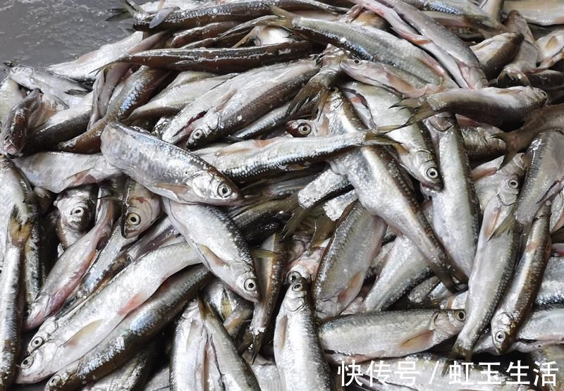 油炸小鱼想要酥脆掉渣，从头嚼到尾不剔刺，只需多加这一步，试试