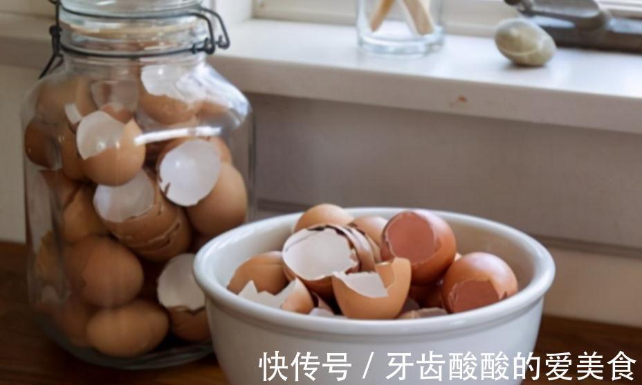 自来水|这种厨房垃圾不能扔,加工后养花,比花钱买的肥还温和好使