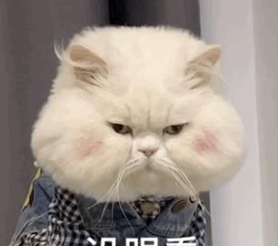 灵感$抑郁小哥把一只2毛钱的千纸鹤折成了我买不起的样子,不但病好了还年入百万