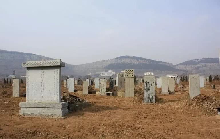  东平县|咱们东平这个镇，在历史上，因水而生因水而衰