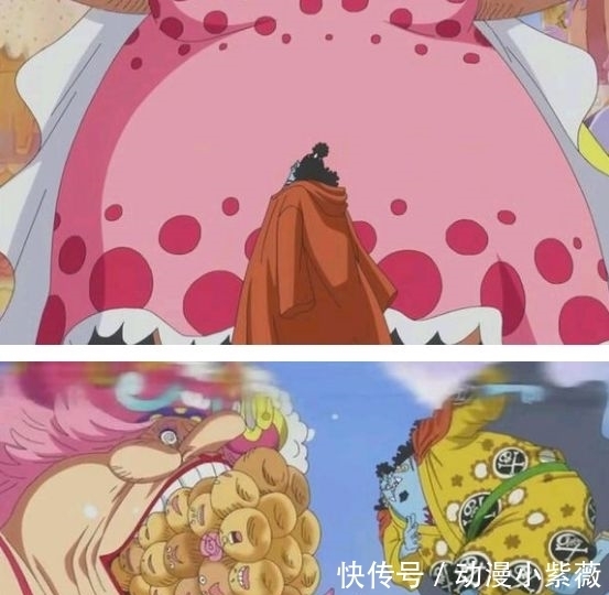 路飞|《海贼王》身高排行,自从看了海贼,楼都不觉得高了