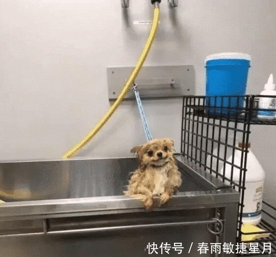 王斌|网友无意间被拉进一个cos群,结果深夜被踢出群聊,原因是哈哈哈