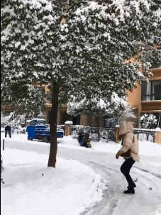 |搞笑GIF趣图:姑娘，你确定不是来找树碰瓷的？