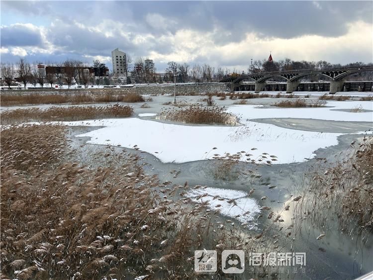 烟台市牟平区沁水河公园雪景美如画|图集| 牟平区