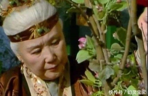 小姑子!贾府的小姑子有多娇贵?王夫人:把她当神供着,我婆婆还不满意!