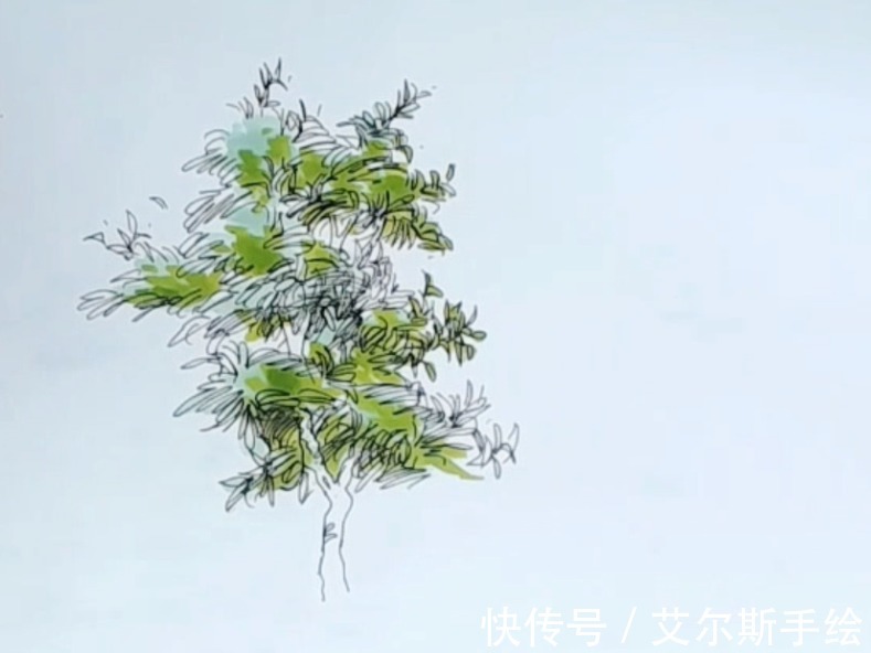 颜色|「艾尔斯马克绘」用马克笔如何画出栩栩如生的植物呢？
