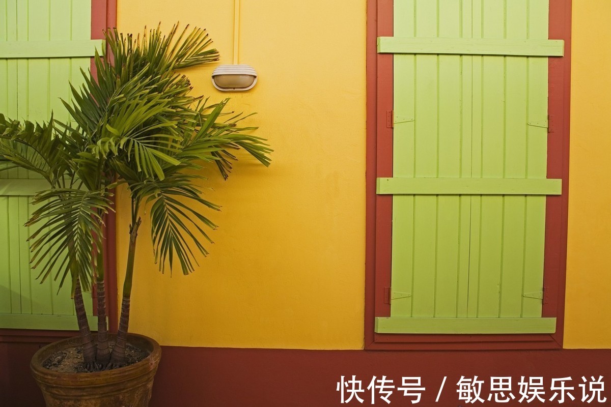 家里养花不要随便放,聪明人放此3个位置,既镇宅又养人