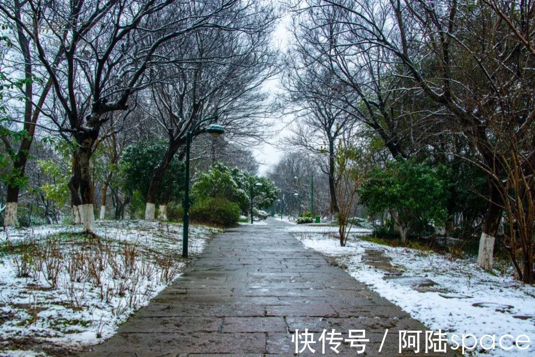 西溪|踏着雨雪寻梅，到西溪绿堤再合适不过，可惜花儿盛开还得等年后