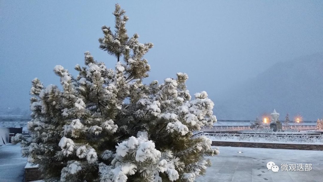 迭部迎来新春第一场雪|新春走基层 |迭部迎来新春第一场雪\＂,\＂i10\＂:\＂新春走基层