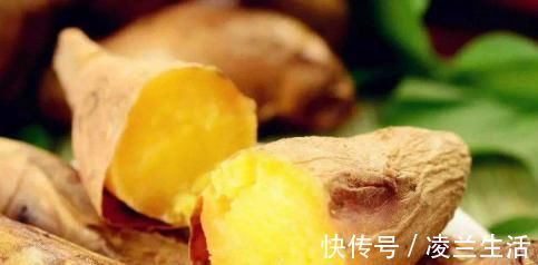 甘薯|红薯紫薯白薯的区别,吃哪个更营养?进来了解一下