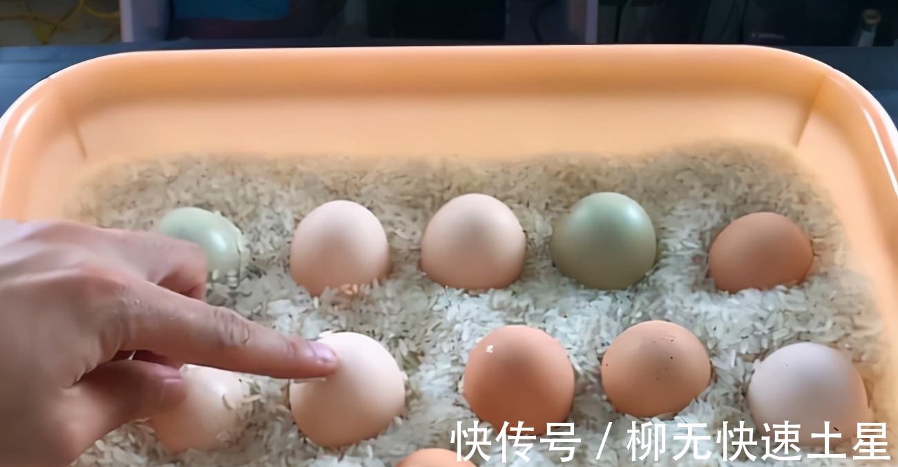 详细到啰嗦的流心荷包蛋做法,做出来又圆又嫩,一起来学做吧!