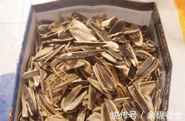 花友|生活中给君子兰吃上“3种”东西，长得根旺叶绿，年年都开花