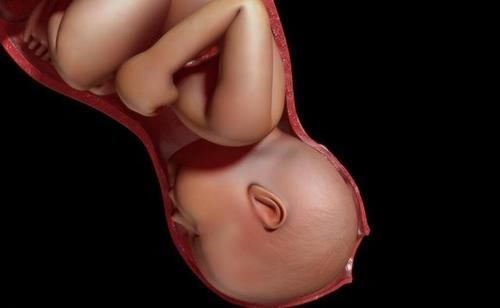 阶段|孕妇分娩时胎儿在做什么?妈妈不是一个人战斗,宝宝的行为很暖心