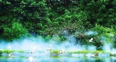 虞美人!李煜暮年的一首词,笔触细致,读完令人心碎