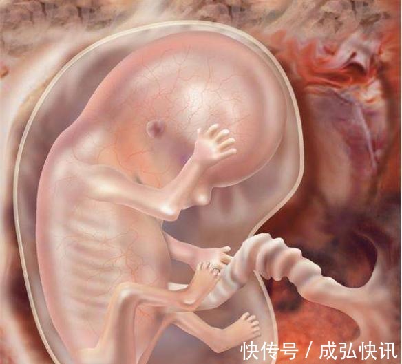 孕期|胎儿从这月进入“猛涨期”,大脑和身体都在飞速发育,注意补营养