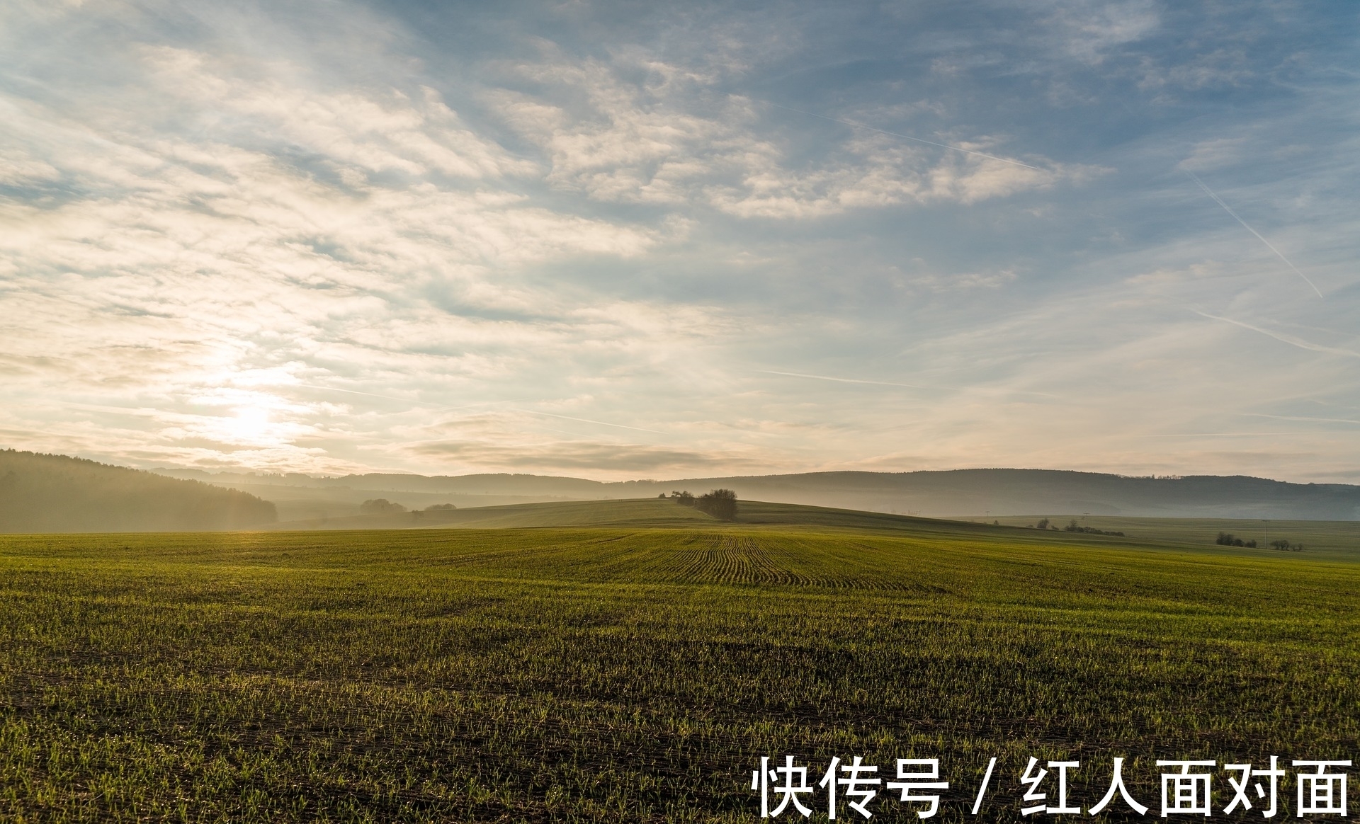 飞鸟集$生活平凡，愿为小草