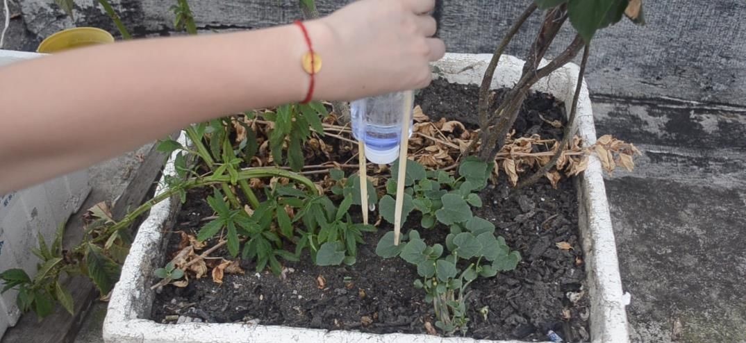 塑料瓶上绑2根筷子, 这个作用太棒了, 解决了很多家庭的烦恼