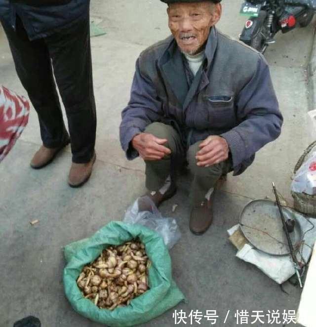 老汉进城卖乡下菜，可惜路人不识货，我凑近一看，整袋买走