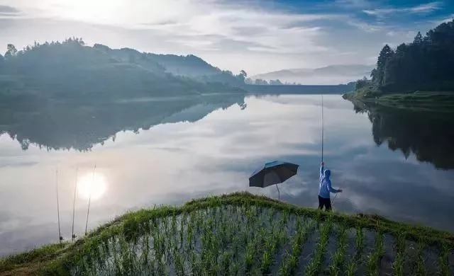 饵料再好选错钓位也没用，钓鱼选择钓位是门学问，技巧都在这里