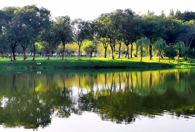 谦谦君子|虚怀若谷,谦谦君子——蒋琰滨大师