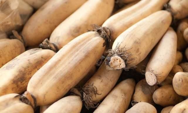 肠损伤|莲藕虽好,但不要这样吃,然而很多人都喜欢这样吃