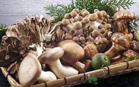 女性爱美推荐多吃8种食物,排毒清肠,清理体内毒素,延缓衰老