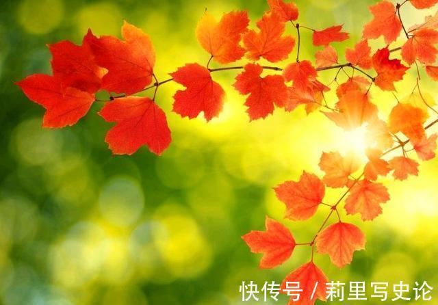 烟火$人生若沧桑，愿你诗意生活，生活若寻常，愿你欢喜度过