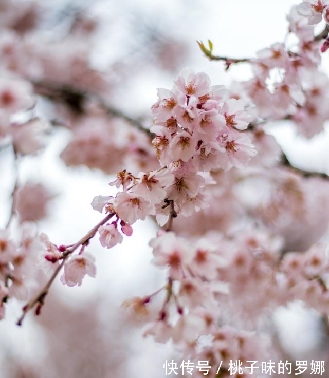 旧爱|下半年,一见如故,旧爱归来,缱绻思念,爱情和谐,潇洒转身