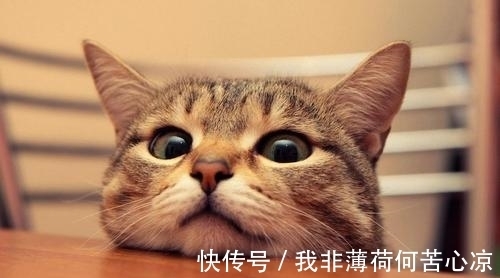 |幽默笑话：网恋女友一年，见面后才发现是老板，她直勾勾的盯着我