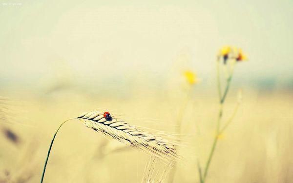 老年|七夕会健康 徒步古道