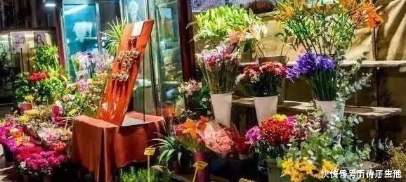 植物|花草在家养,哪种植物好看又好养这5盆,一些还可以吃呢